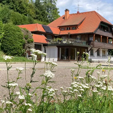 Gaestehaus Sonnenheim, Friedenweiler, Titisee Appartamento *