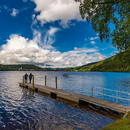 Gaestehaus Sonnenheim, Friedenweiler, Titisee
