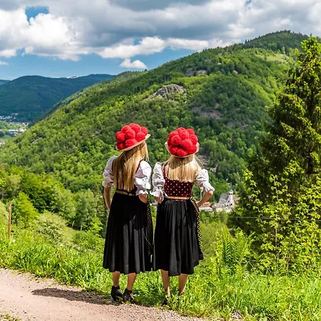 Gaestehaus Sonnenheim, Friedenweiler, Titisee Appartamento *
